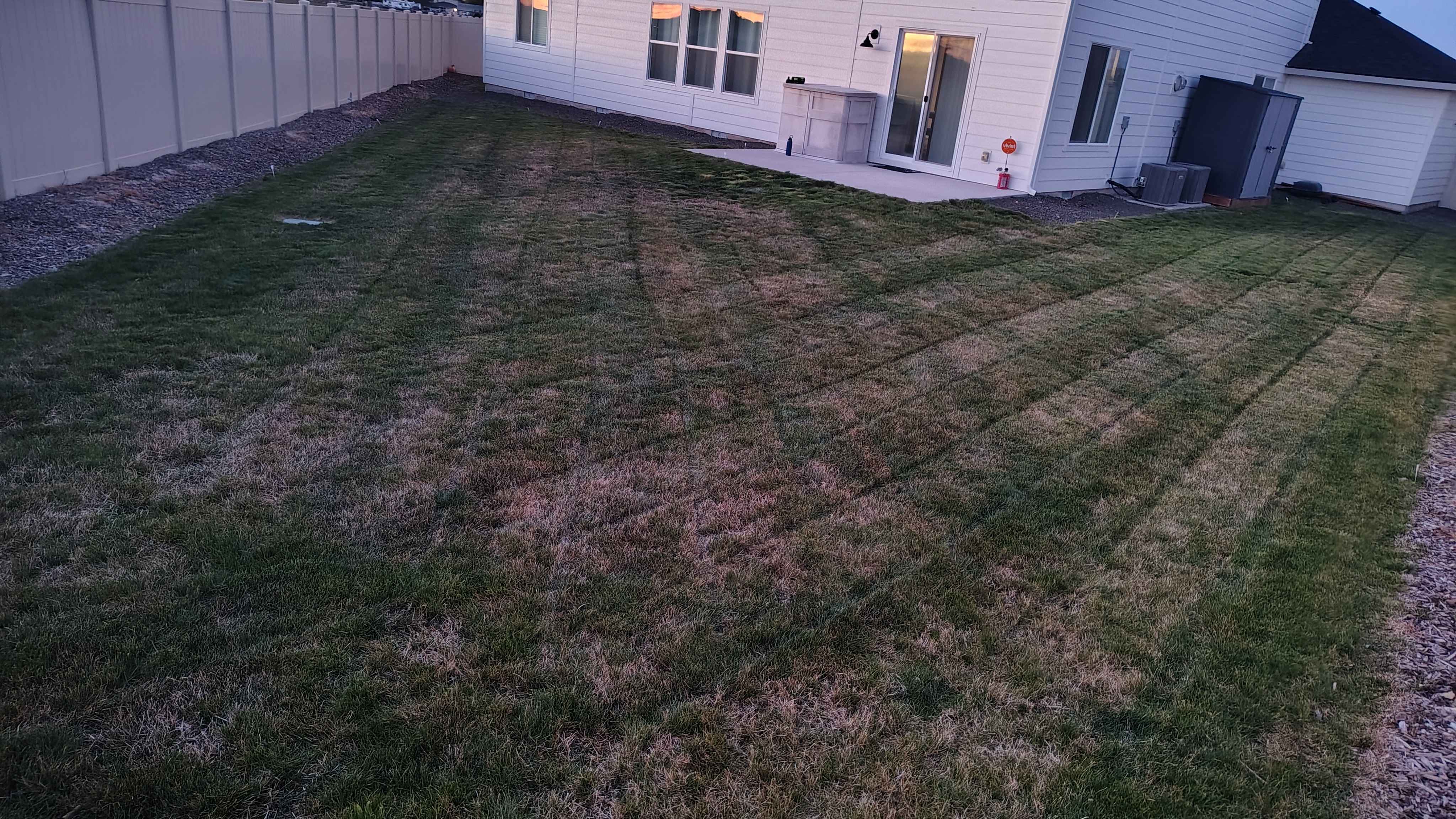 Before - Overgrown Lawn